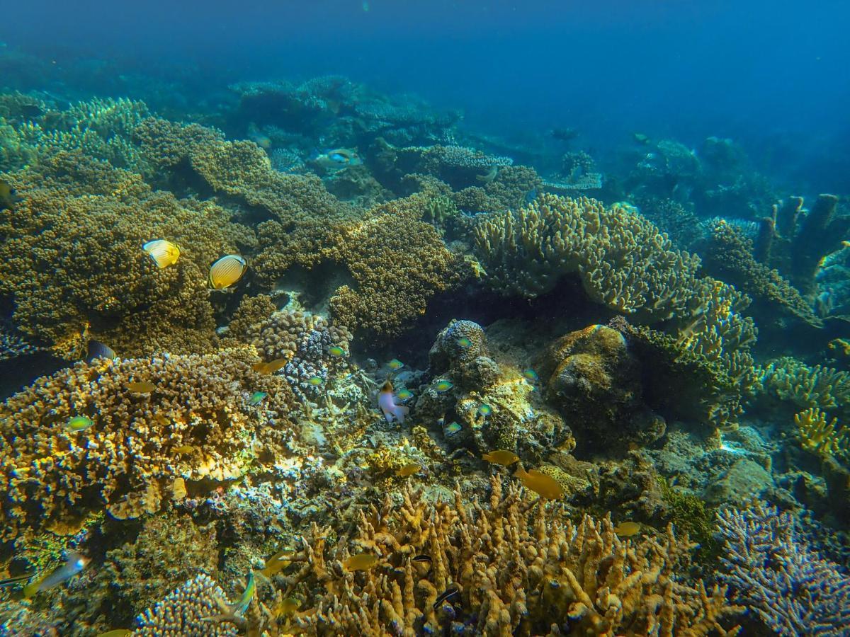 Raja Ampat Eco Lodge Tapokreng Exteriör bild